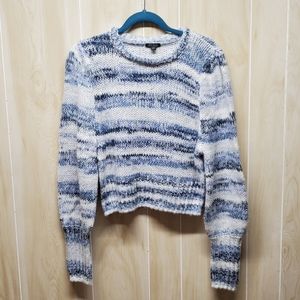 Wild Fable Crop Sweater
